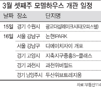 '로또 단지' 디에이치자이 개포 16일 모델하우스 오픈