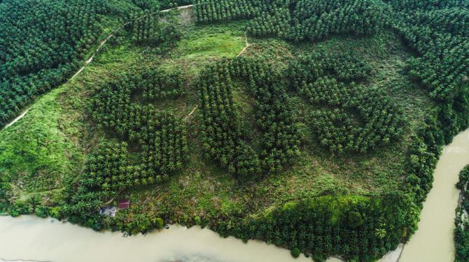 러쉬,열대우림 복원 위한 'SOS 수마트라' 캠페인 론칭