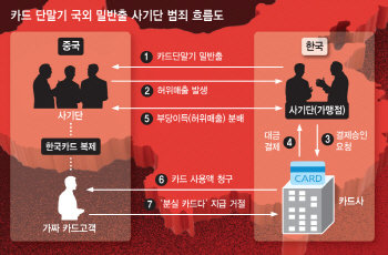 中서 긁어도 韓서 결제 술술..금융당국, 국경 넘은 '카드깡'에 속수무책