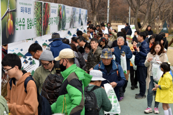 산림청, 23일부터 전국서 ‘내 나무 갖기 캠페인’ 실시