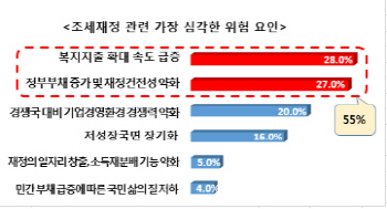 "빨라지는 복지지출 확대, 재정에 위협"