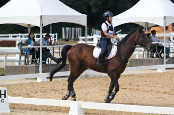 승마 자격증으로 청년 취업난 돌파해볼까