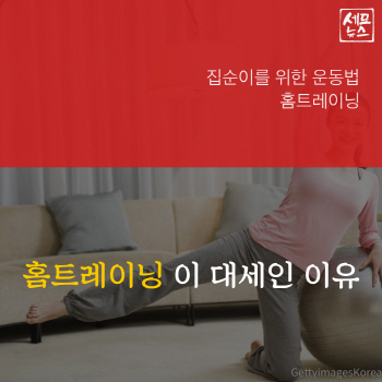  '홈트' 들어봤니?