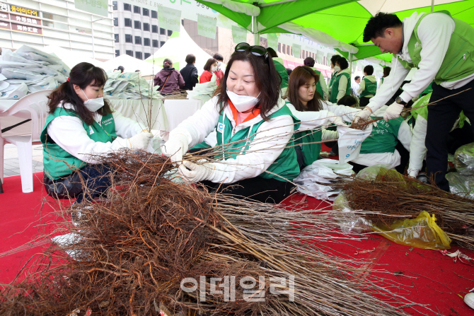 [포토]봄에는 나무를 심어요