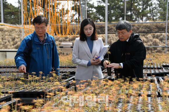 [포토]류광수 산림청 차장, 국유양묘장 시설현황 점검