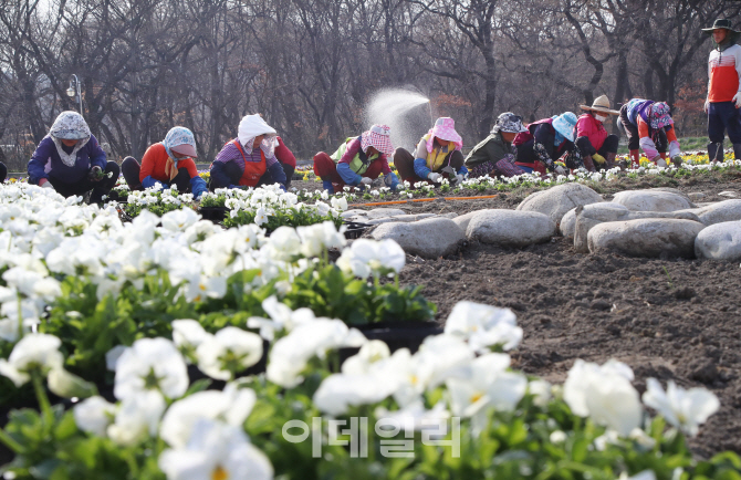 [포토]'공원에 찾아온 봄'