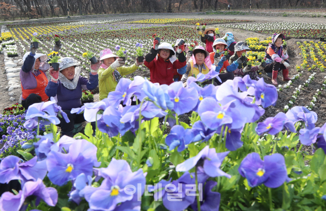 [포토]'봄이왔네요'