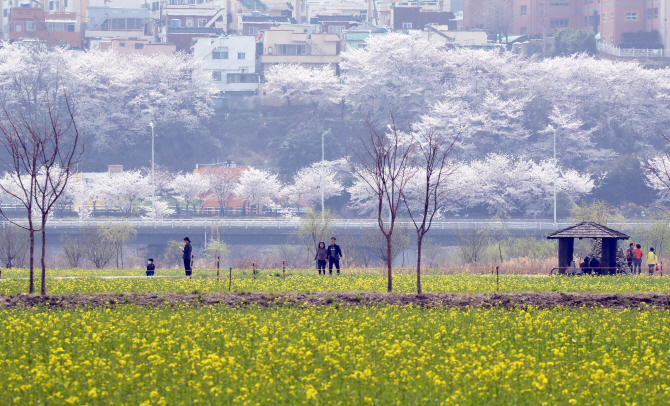 [포토] 수채화 같은 낙동강변