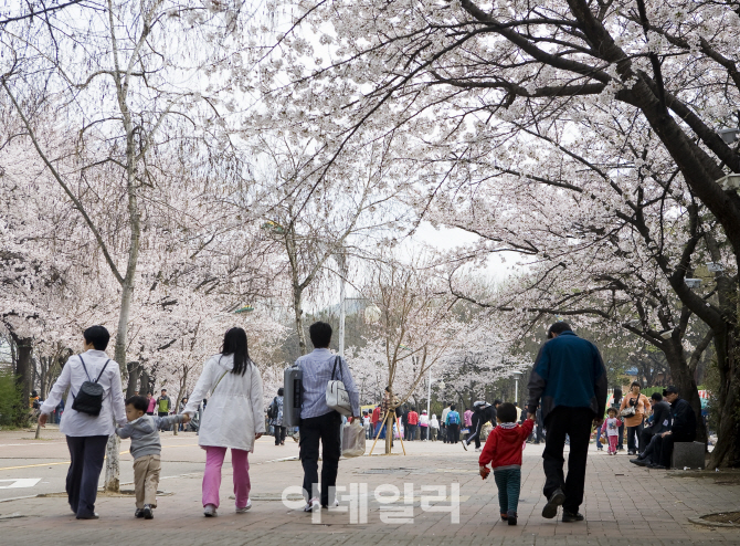  컬러풀한 인천의 봄을 즐기는 '명소 4곳'