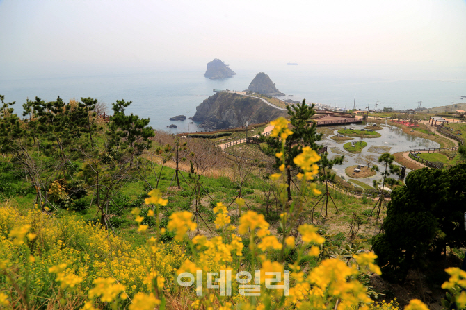 Photos at 오륙도 해맞이공원 - Park in Busan