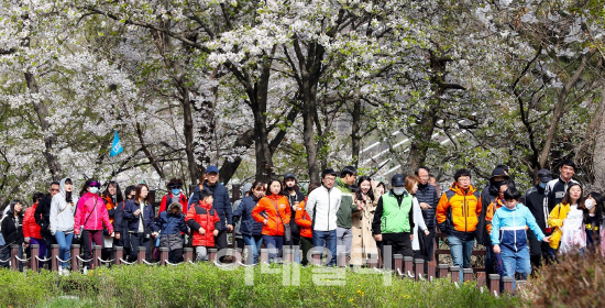 [포토]‘대덕구 & 한국타이어 금강로하스 걷기 대회’, 7일 성료