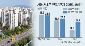 "중소형 11억 뛸 때 2억도 안 올라"...강남 대형아파트의 '비애'