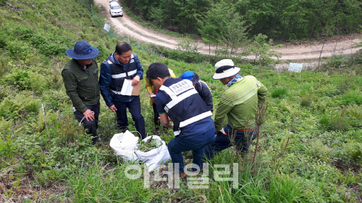 정부 최초 산림범죄 전담조직 신설된다