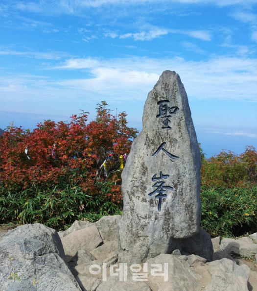 울릉도 성인봉·나리봉, 이달의 국유림 명품숲으로 선정