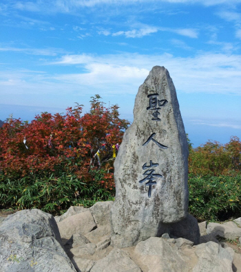 울릉도 성인봉·나리봉, 이달의 국유림 명품숲으로 선정