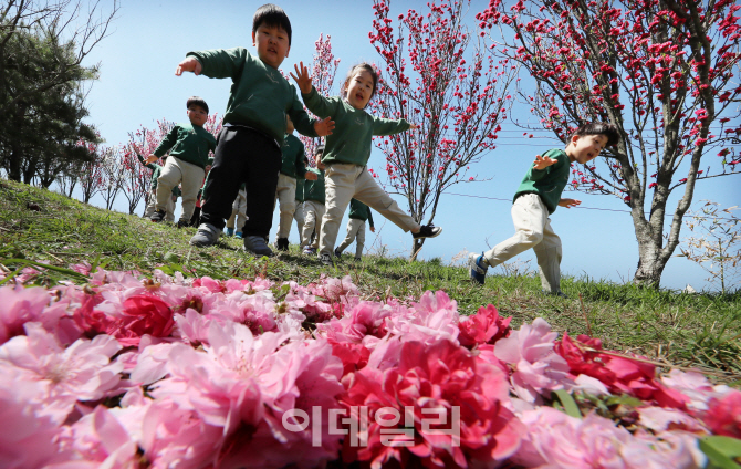 [포토]동심 유혹하는 홍도화