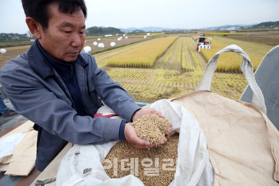 내주 쌀 생산조정제 마감…농식품부 농가 대상 막판 독려