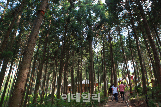 [여행+] 외암마을·궁남지 등 12곳 '열린관광지'로 조성