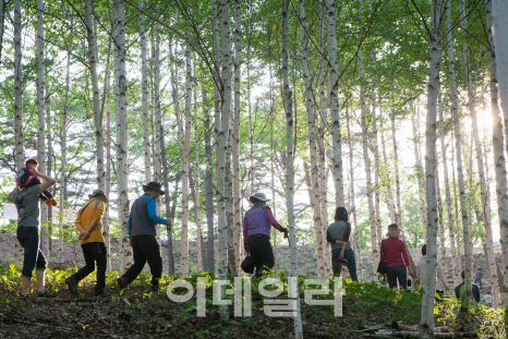 韓 산림녹화 기록, 유네스코세계기록유산으로 등재 추진