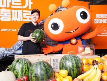 티몬, 수박 온라인 최저가 판매