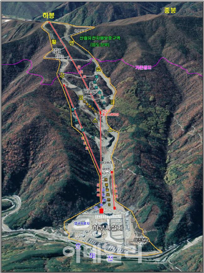 강원 정선 알파인경기장, 산사태 안전관리 대책 나왔다