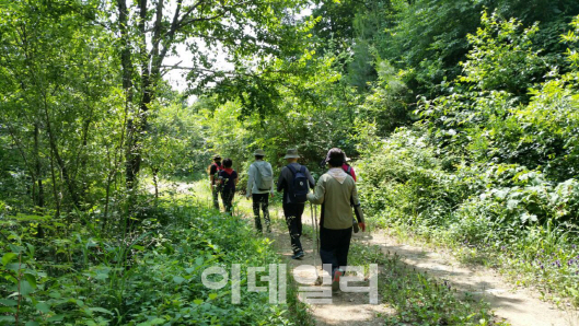 국립산림치유원, 장기 산림치유 체험 참가자 모집