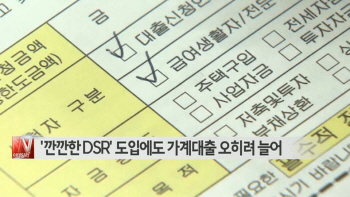 '깐깐한 DSR' 도입에도 가계대출 오히려 늘어 外