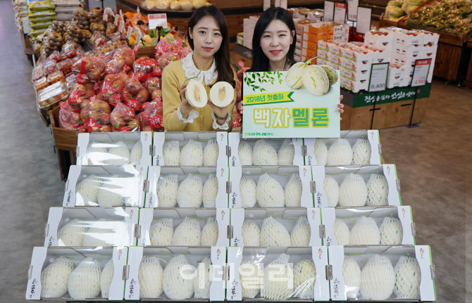 [포토]농협하나로유통, 백자멜론 첫 출하