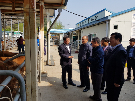 농협 축산경제, ‘한달만에 재개장’ 가축시장 방역상황 점검