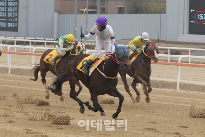 동물복지 강화 추세, 달리는 말에 채찍질 옛말