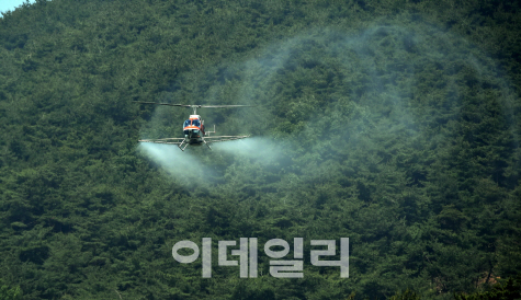 산림청, 경남과 제주 등서 소나무재선충병 항공 방제