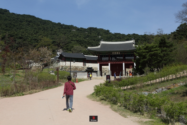 [고상환의 경기도 주말여행]  남한산성 봄 여행주간 `남한산성을 사수하라!`