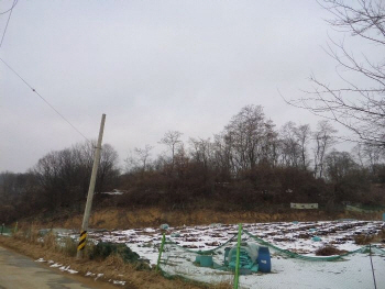 남북관계 개선 기대감에 연천·파주·철원 고가 낙찰 속출