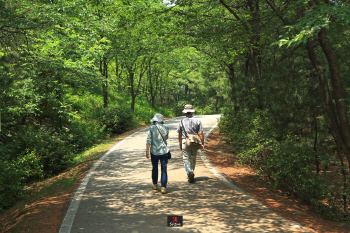 ⑥ 도심 속 푸른 숲길 `물향기수목원`