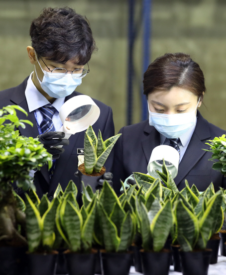 검역본부, 미얀마에 식물 검역기술 전수