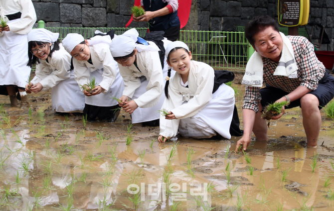 [포토]'모내기 즐겁게 해요'