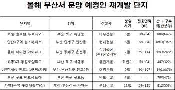 재건축 대신 주목받는 재개발…4채 중 1채는 부산