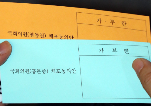 체포 `반대` 민주당 의원, 최소 22명…`기득권 지키기` 눈살(종합)