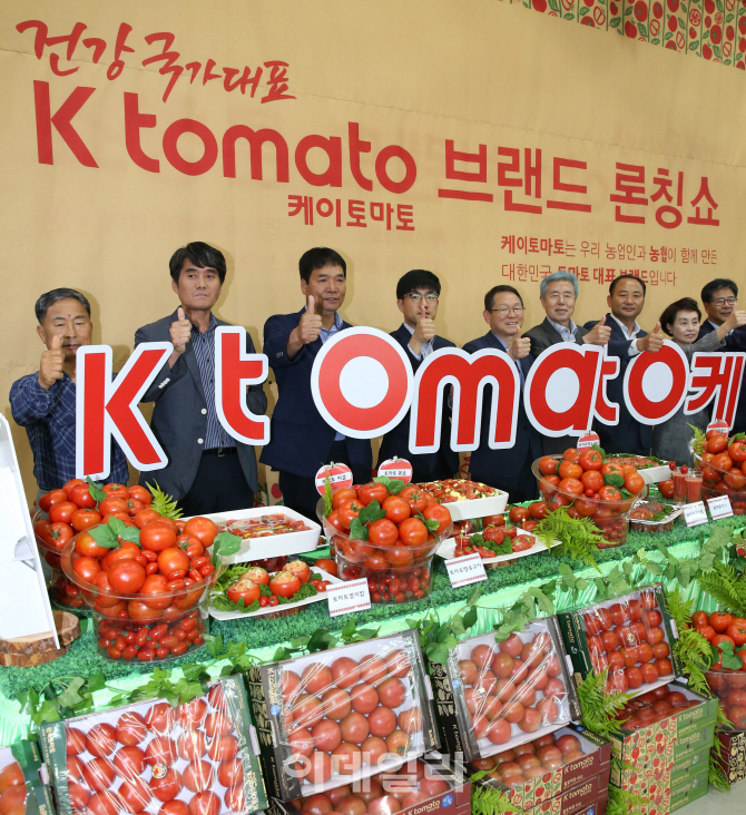 [포토]농협, 'K tomato'와 함께 전국연합사업 본격 개시