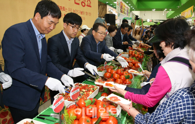 [포토]토마토로 만들 수 있는 다양한 음식