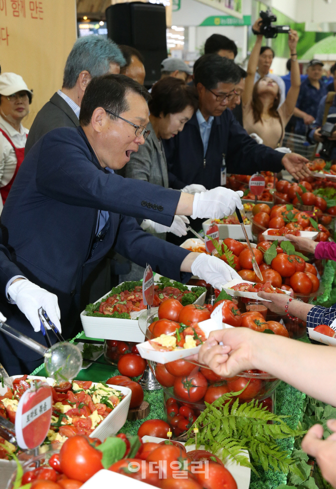 [포토]토마토로 만들 수 있는 다양한 음식들