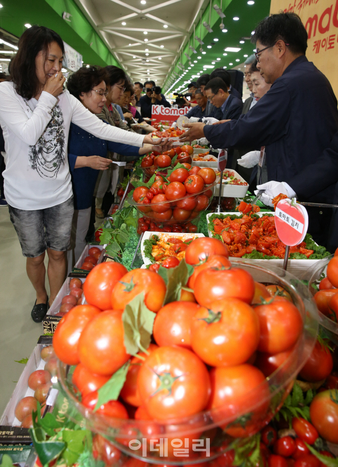 [포토]탐 스러운 우리 토마토