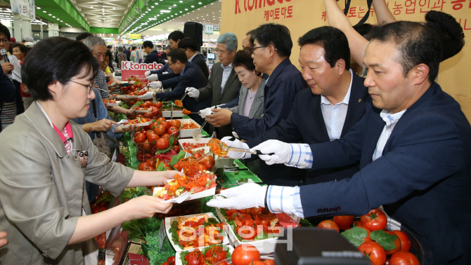 [포토]먹음직 스러운 'K(케이) 토마토'