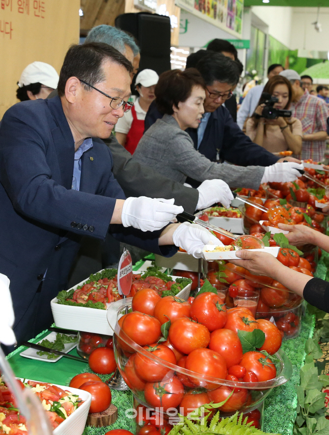 [포토]우리 토마토 맛 보고 가세요!