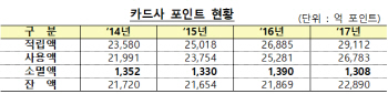 연 1300억씩 사라지는 카드 포인트, 현금으로 쓴다