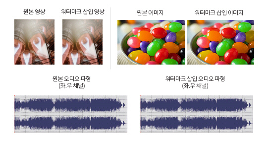 밤토끼 불법공유 논란에 마크애니 포렌식워터마크 문의 급증