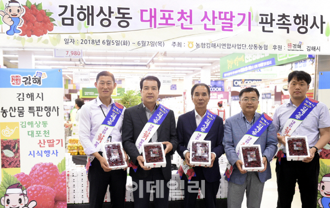 [포토] 첫 수확한 산딸기 할인 판매
