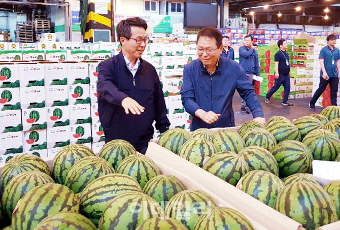 [포토] 가락공판장 찾아 농산물 점검하는 김원석 대표