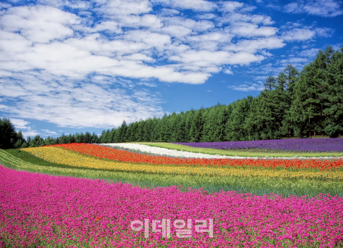  ‘시원·가뿐’한 여름휴가지, 북해도·블라디보스토크