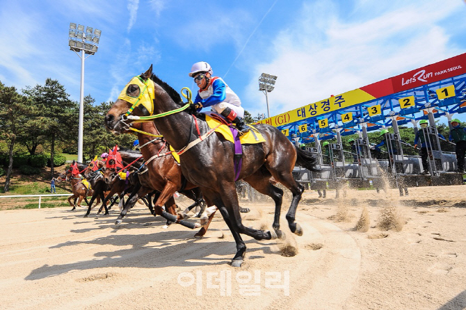 6.13 지방선거, ‘말(馬)’과 관련된 선거용어는